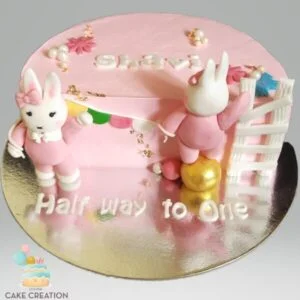 Half Way To One Cake | Cake Creation | Cake Delivery Online | Bangalore’s Best Baker