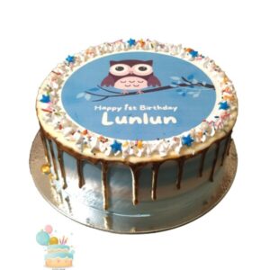 Cute Owl Photo Cake | Cake Creation | Cake Delivery Online | Bangalore’s Best Baker